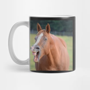 Horse Laugh Picture Mug